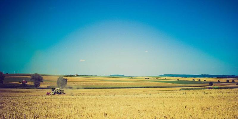 前海金融人才争夺战：如何通过职业培训与求职平台实现职业发展突破