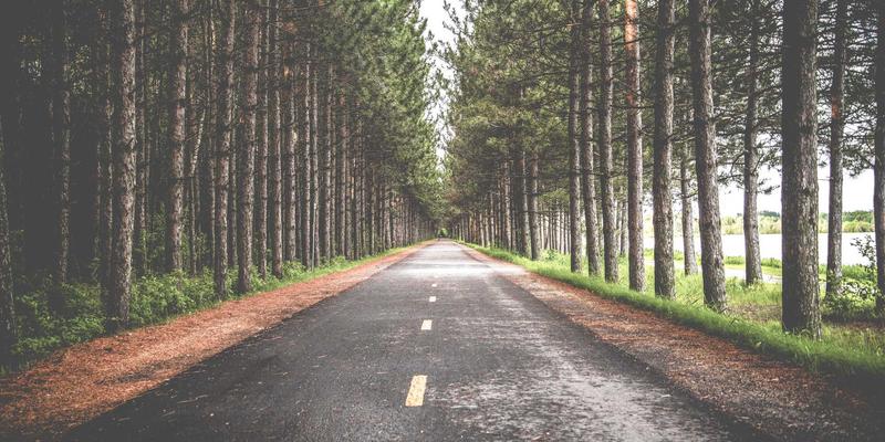 深圳招聘53：高效求职平台助力人才与名企精准对接