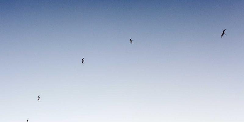 深圳招聘实战指南：巧用求职平台与职业培训斩获理想工作