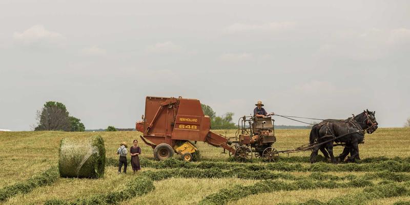 深圳招聘市场深度解析：高薪职位趋势与求职平台选择策略