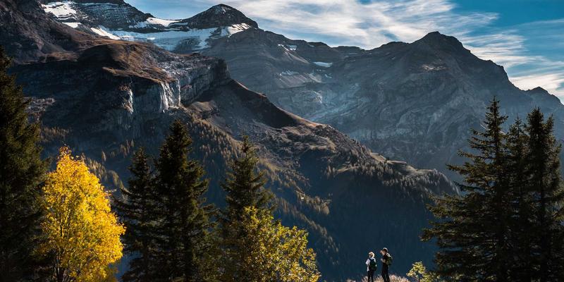 深圳招聘新趋势：如何借助专业求职平台实现职业跃迁