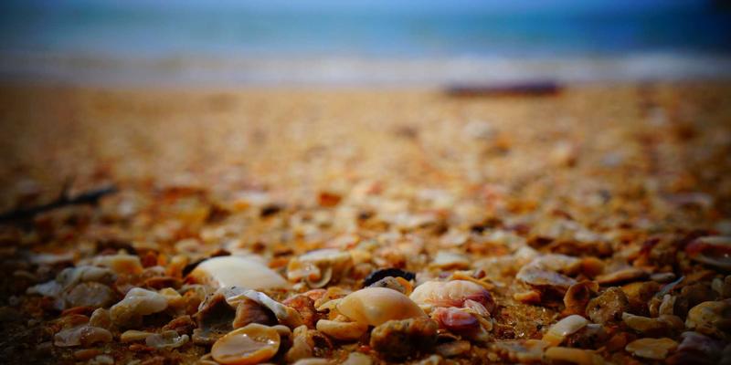 深圳文化创意产业招聘热点：聚焦数字艺术、IP运营与文旅融合人才需求